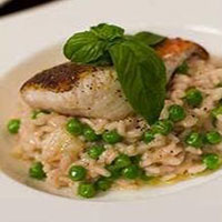 Koningklip met Risotto featured